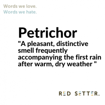 Petrichor - words we love